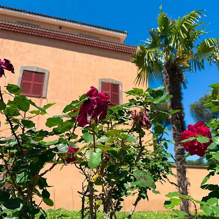 Due Leoni - Casa Per Ferie Ρώμη